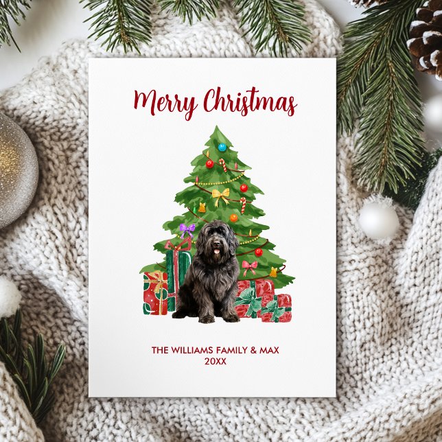 Newfoundland Dog Family Christmas Holiday Card (Creator Uploaded)