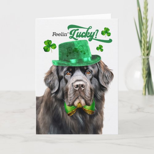 Newfoundland Dog Feelin Lucky St Patricks Day Holiday Card