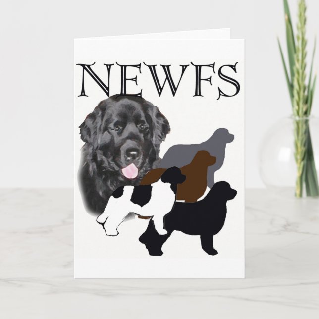 Newfoundland dog four colors card (Front)