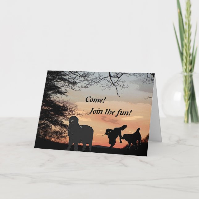 Newfoundland Dog Fun Invitation (Front)