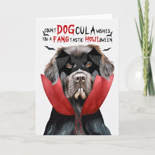 Newfoundland Dog Funny Count DOGcula Halloween Holiday Card