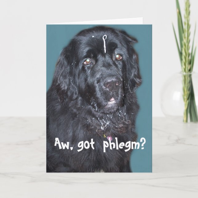 Newfoundland Dog Get well Card (Front)