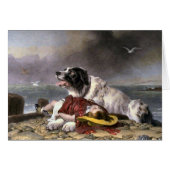 Newfoundland Dog Gifts (Front Horizontal)