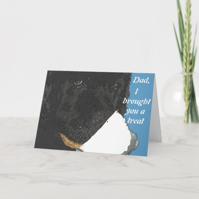 Newfoundland dog greeting Card (Front)