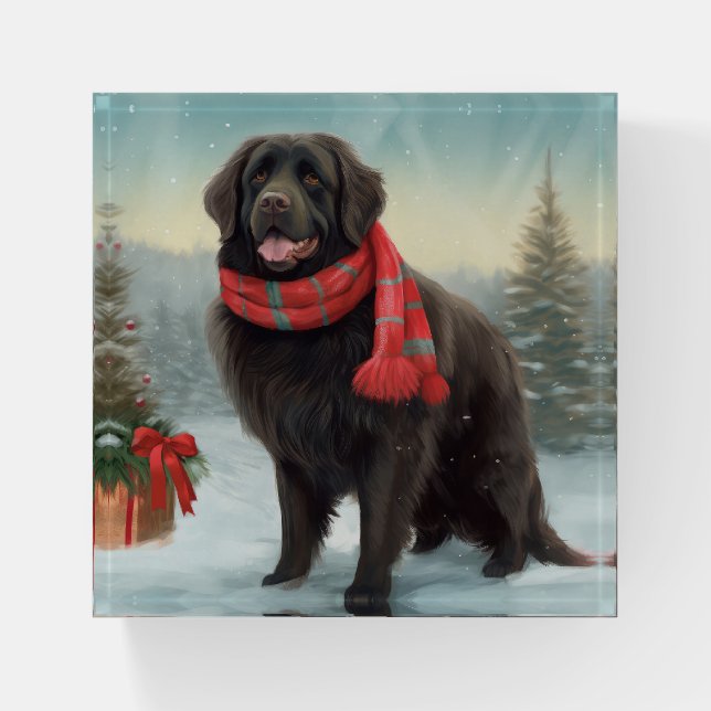 Newfoundland Dog in Snow Christmas Paperweight (Front)