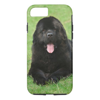 Newfoundland Dog Gifts on Zazzle