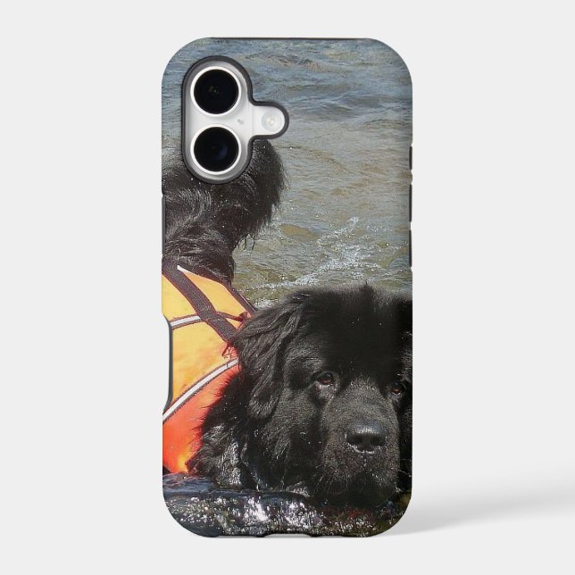 Newfoundland Dog Iphone Case (Back)