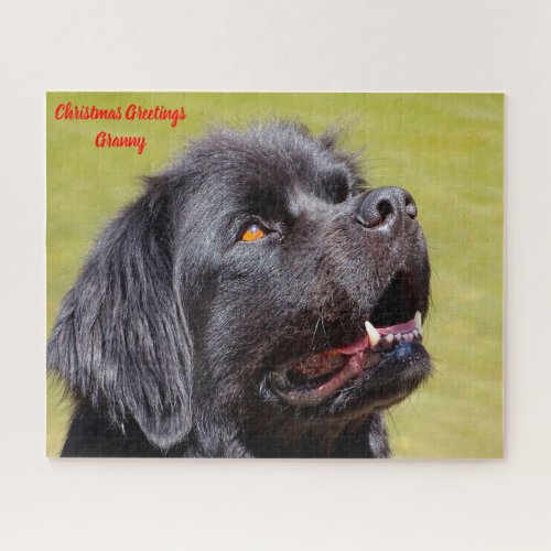 Newfoundland Dog Jigsaw Puzzle