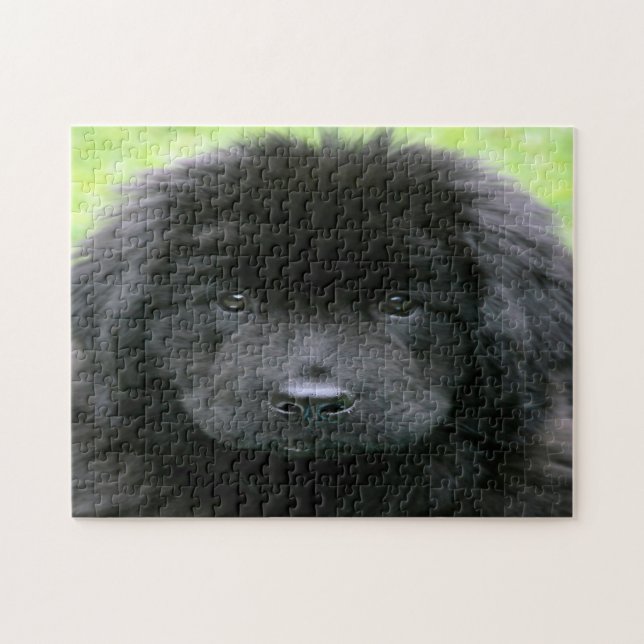Newfoundland Dog. Jigsaw Puzzle (Horizontal)