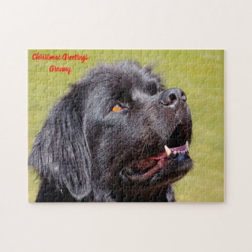 Newfoundland Dog Jigsaw Puzzle