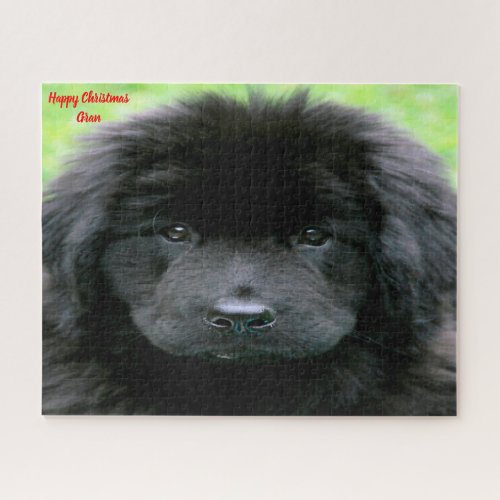 Newfoundland Dog Jigsaw Puzzle