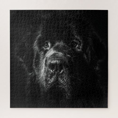 Newfoundland dog Jigsaw puzzle