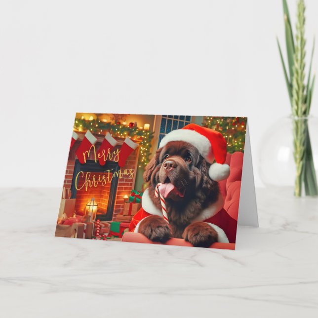 Newfoundland Dog Licking a Candy Cane Card (Front)