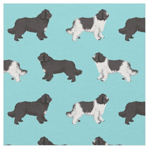 newfoundland dog light blue fabric