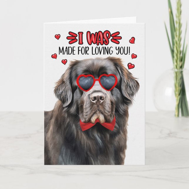 Newfoundland Dog Made for Loving You Valentine Holiday Card (Front)