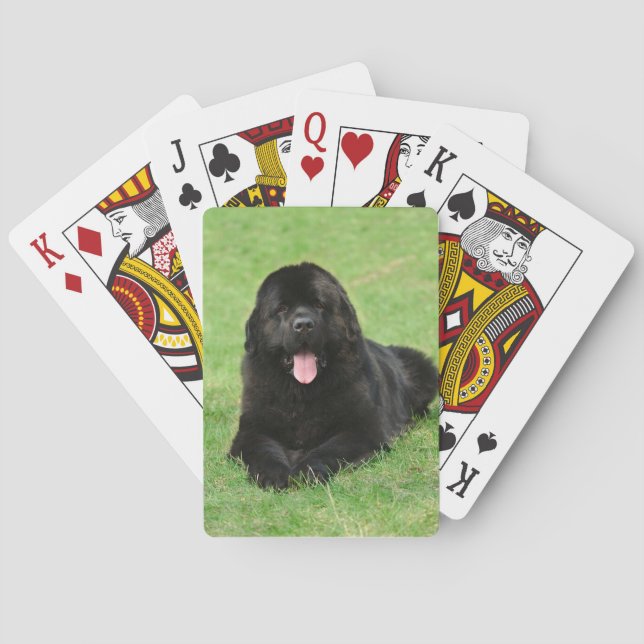 Newfoundland dog poker cards (Back)