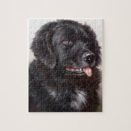 Newfoundland Dog Portrait Jigsaw Puzzle