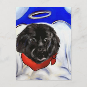 Newfoundland Dog Postcard