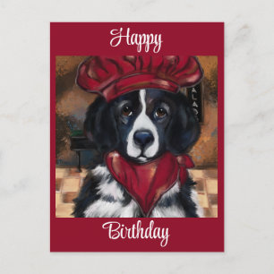 Newfoundland Dog Postcard