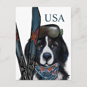 NEWFOUNDLAND DOG POSTCARD
