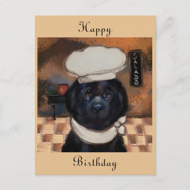 Newfoundland Dog    Postcard (Front)