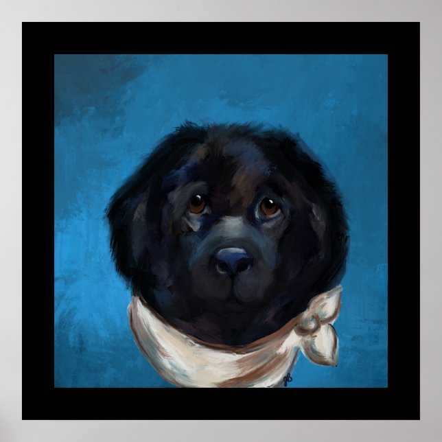 Newfoundland Dog                Poster (Front)
