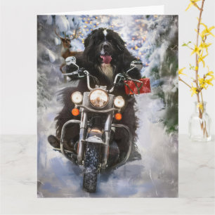 Newfoundland Dog Riding Motorcycle Christmas  Card