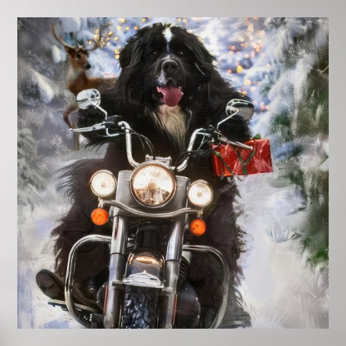 Newfoundland Dog Riding Motorcycle Christmas  Poster