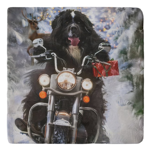 Newfoundland Dog Riding Motorcycle Christmas  Trivet (Front)