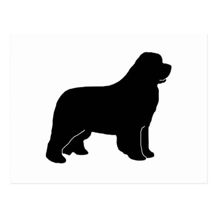 Newfoundland dog silhouette postcard