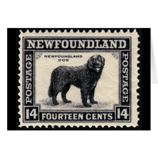 Newfoundland Dog Stamps Gifts Cards (Front Horizontal)