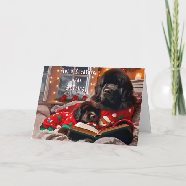 Newfoundland Dog Storytime Christmas Card (Front)