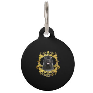 Newfoundland Dog   The Moment I Saw You Design Pet ID Tag