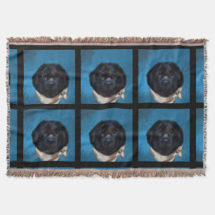 Newfoundland Dog Throw Blanket