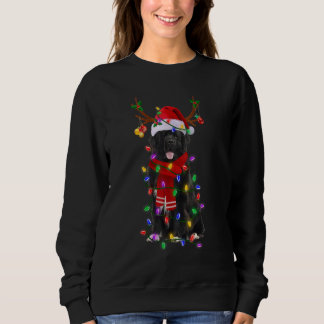 Newfoundland Dog Tree Christmas Lights Xmas Pajama Sweatshirt