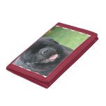 Newfoundland Dog Tri-fold Wallet