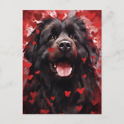 Newfoundland dog Valentines day Postcard