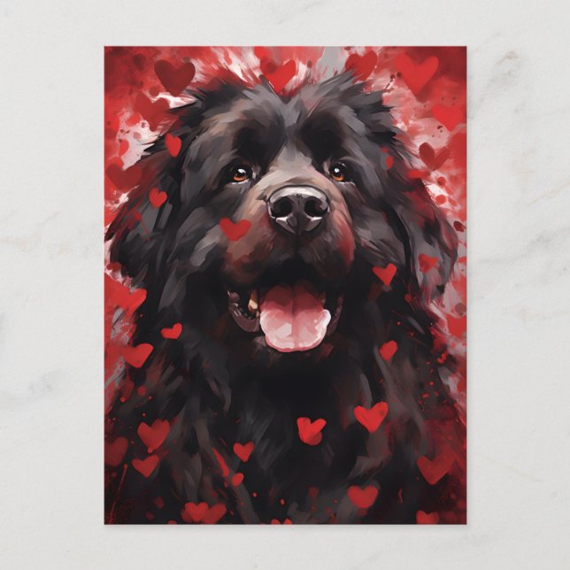 Newfoundland dog Valentines day Postcard (Front)