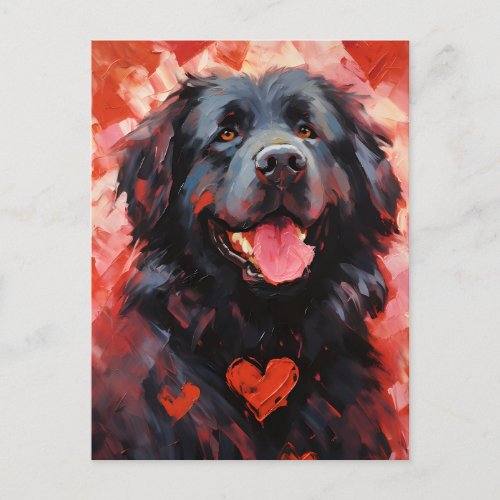 Newfoundland dog Valentines day Postcard