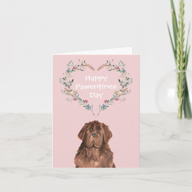 Newfoundland Dog Valentines Holiday Card