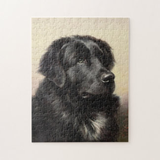 Newfoundland dog vintage realistic paint jigsaw puzzle