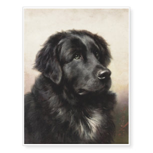 Newfoundland dog vintage realistic paint   temporary tattoos