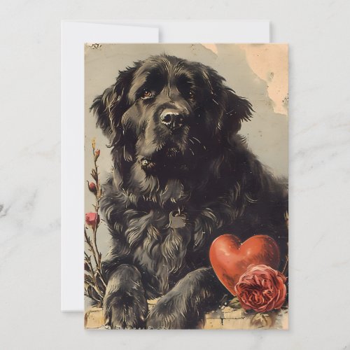 Newfoundland dog Vintage Valentines day  Holiday Card