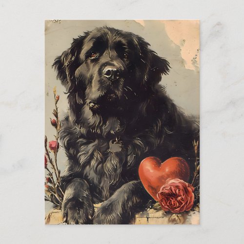 Newfoundland dog Vintage Valentines day  Postcard