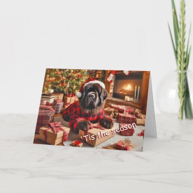 Newfoundland Dog Wrapping Gifts Christmas Card (Front)