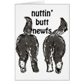 Newfoundland dogs (Front)