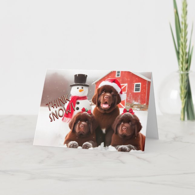 Newfoundland Dogs Brown, Snow Christmas Card (Front)