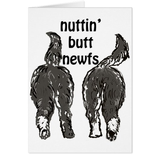 Newfoundland dogs cards (Front)