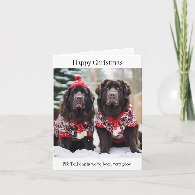 Newfoundland Dogs Christmas Jumpers Card (Front)