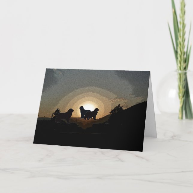Newfoundland dogs Greeting card (Front)